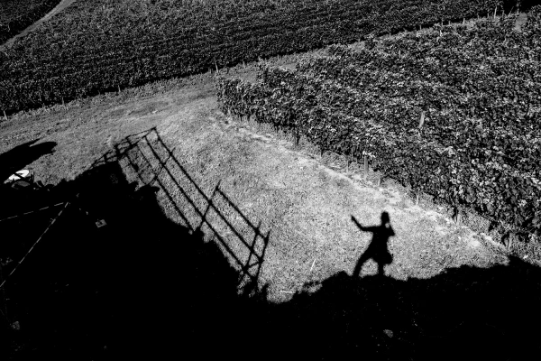 Galerie Troplong Mondot