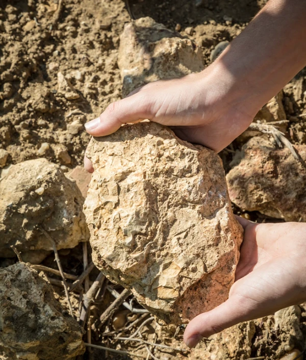 Terroir Troplong Mondot