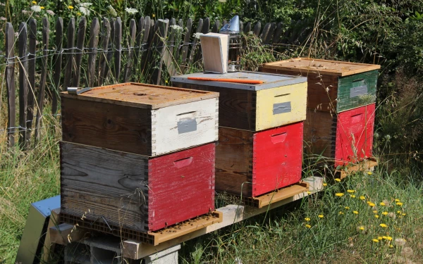 Les engagements Troplong Mondot