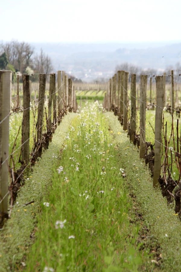 Les engagements Troplong Mondot