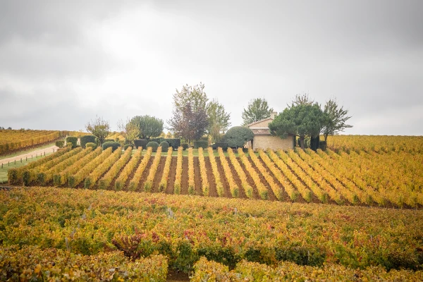 Vignes Troplong Mondot