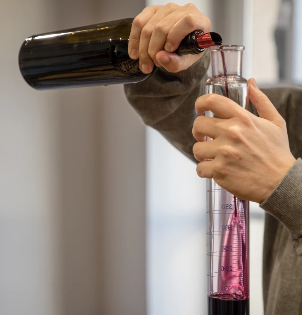 Assemblage Troplong Mondot