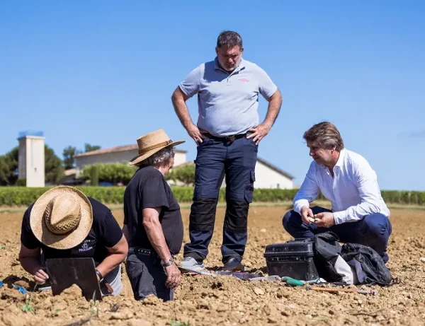 Vignoble Troplong Mondot