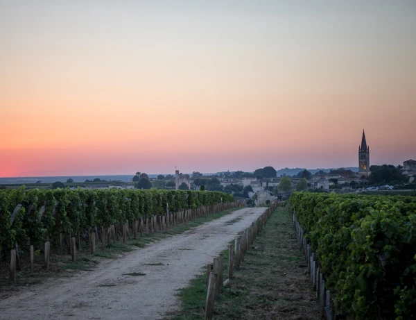 Visite Troplong Mondot