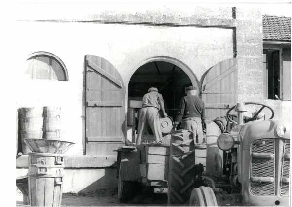 Les vendanges Troplong Mondot