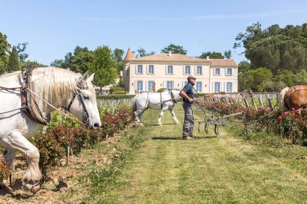 Château Troplong Mondot