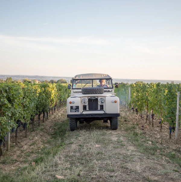 Les visites des vignes