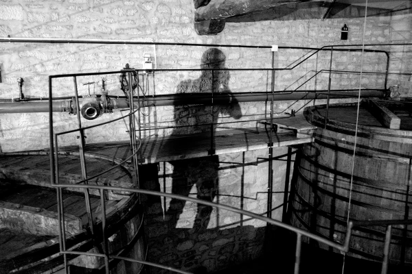 Galerie Troplong Mondot