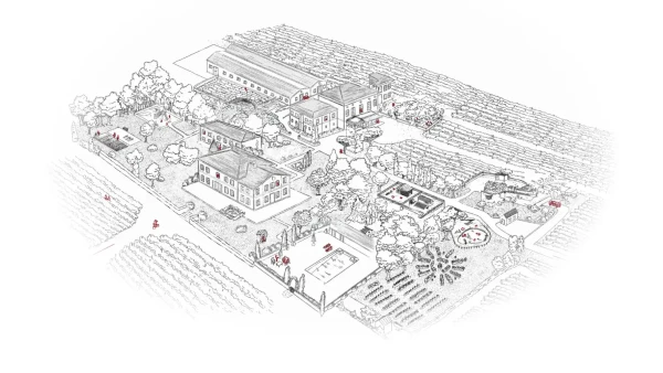 Domaine viticole Troplong Mondot