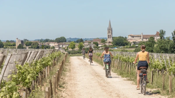 Visite Château Troplong Mondot