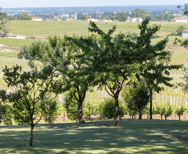 Parc Troplong Mondot