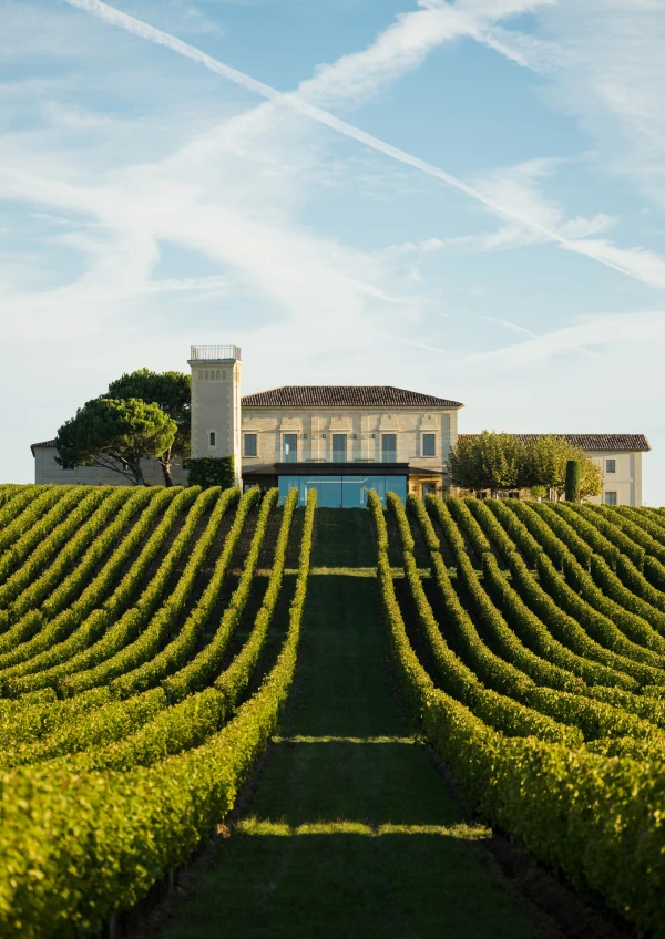 Nature Troplong Mondot