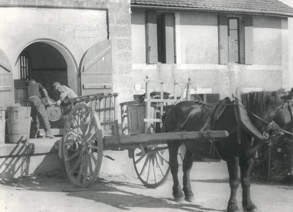 Archives Troplong Mondot