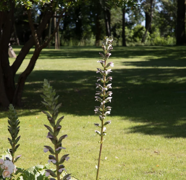 Parc Troplong Mondot